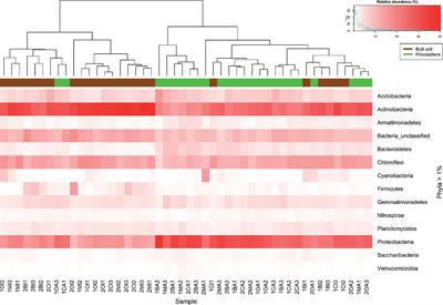 Bacterial Diversity and Interaction Networks of <mark class="highlighted">Agave</mark> lechuguilla Rhizosphere Differ Significantly From Bulk Soil in the Oligotrophic Basin of Cuatro Cienegas
